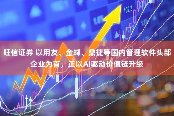 旺信证券 以用友、金蝶、鼎捷等国内管理软件头部企业为首，正以AI驱动价值链升级