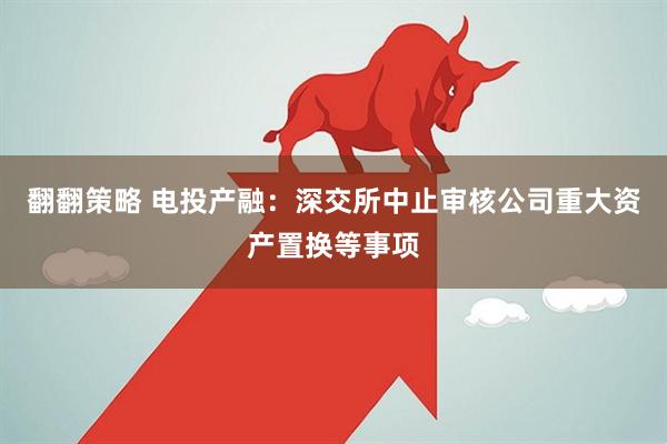 翻翻策略 电投产融：深交所中止审核公司重大资产置换等事项