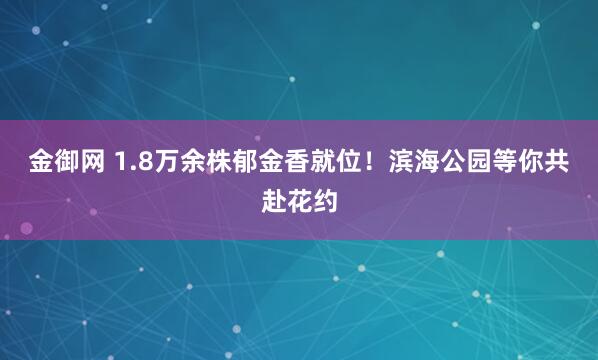 金御网 1.8万余株郁金香就位！滨海公园等你共赴花约